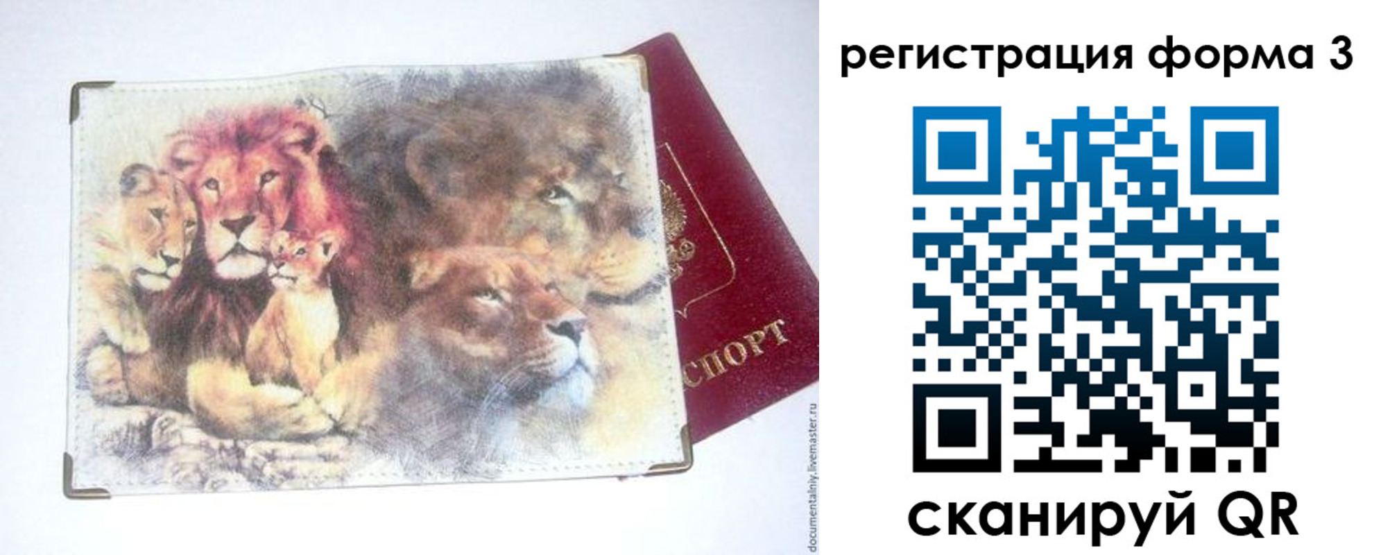 прописка в квартире в Кингисеппе